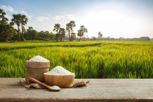 Asian,Uncooked,White,Rice,With,The,Rice,Field,Background